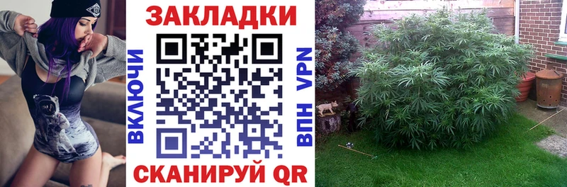 Бошки Шишки Кущёвская