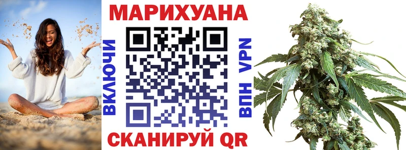 Конопля сатива Кущёвская